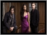 Stefan, Elena, Pamitnik Wampirw, Damon